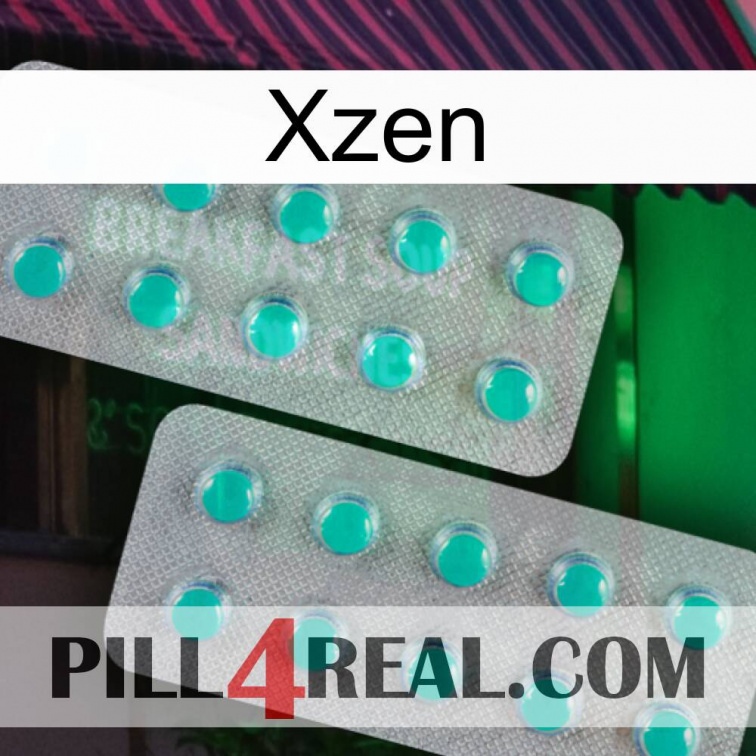 Xzen 29